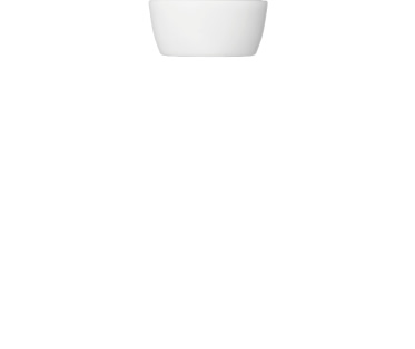 JPP-30g